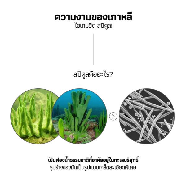 IT's SO ME Collagen Cica Spicule - Image 2